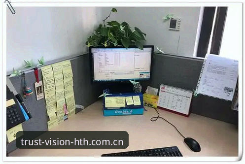 华体会登录入口究竟安全方便吗？用户王蕾的真实体验能说明什么？